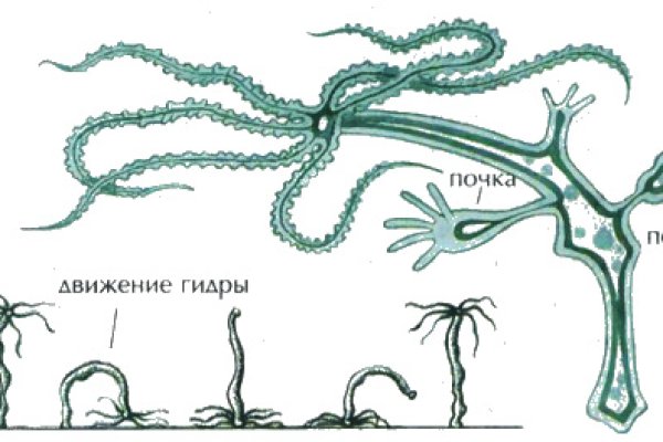 Кракен даркнет вход