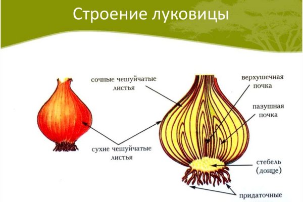 Модератор на кракене