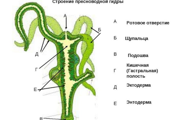 Ссылка на кракен 15ат